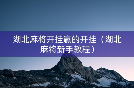 湖北麻将开挂赢的开挂（湖北麻将新手教程）