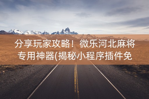 分享玩家攻略！微乐河北麻将专用神器(揭秘小程序插件免费)
