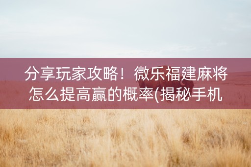 分享玩家攻略！微乐福建麻将怎么提高赢的概率(揭秘手机上提高胜率)