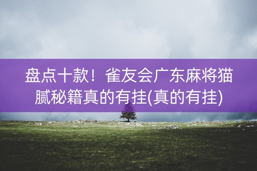 盘点十款！雀友会广东麻将猫腻秘籍真的有挂(真的有挂)