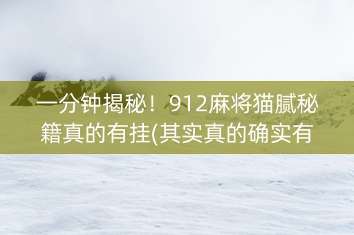 一分钟揭秘！912麻将猫腻秘籍真的有挂(其实真的确实有挂)