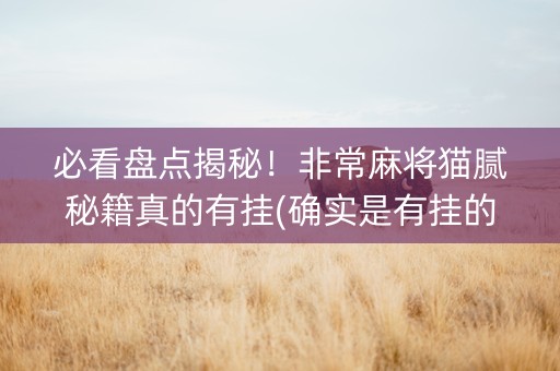 必看盘点揭秘！非常麻将猫腻秘籍真的有挂(确实是有挂的)