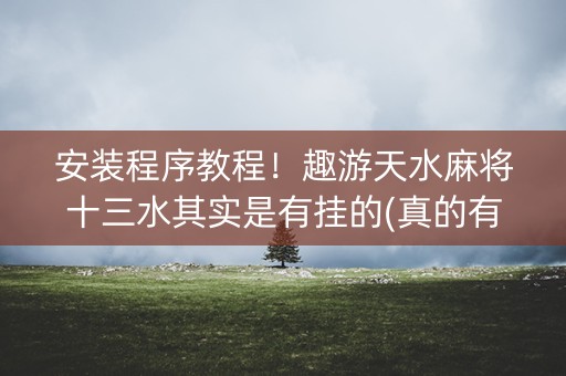 安装程序教程！趣游天水麻将十三水其实是有挂的(真的有挂)