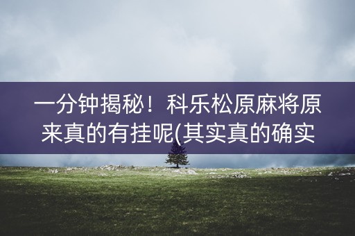 一分钟揭秘！科乐松原麻将原来真的有挂呢(其实真的确实有挂)