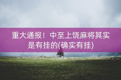 重大通报！中至上饶麻将其实是有挂的(确实有挂)