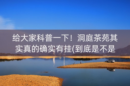 给大家科普一下！洞庭茶苑其实真的确实有挂(到底是不是有挂)