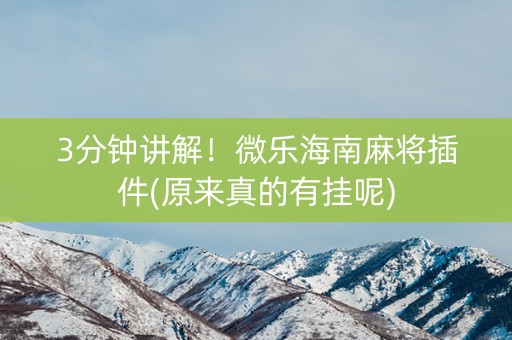 3分钟讲解！微乐海南麻将插件(原来真的有挂呢)