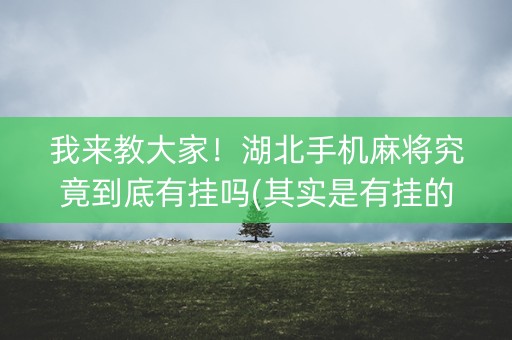 我来教大家！湖北手机麻将究竟到底有挂吗(其实是有挂的)
