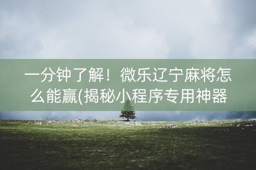 一分钟了解！微乐辽宁麻将怎么能赢(揭秘小程序专用神器)