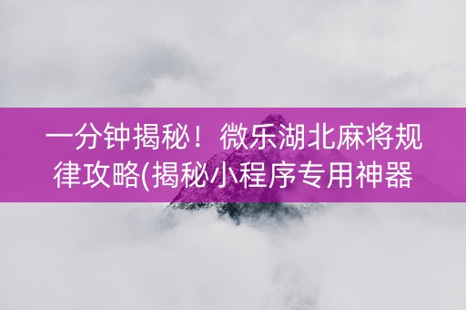 一分钟揭秘！微乐湖北麻将规律攻略(揭秘小程序专用神器)