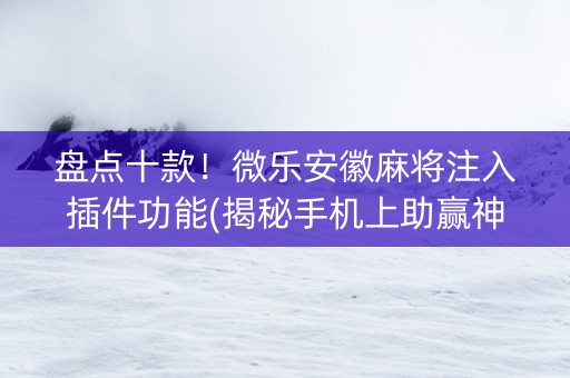 盘点十款！微乐安徽麻将注入插件功能(揭秘手机上助赢神器)