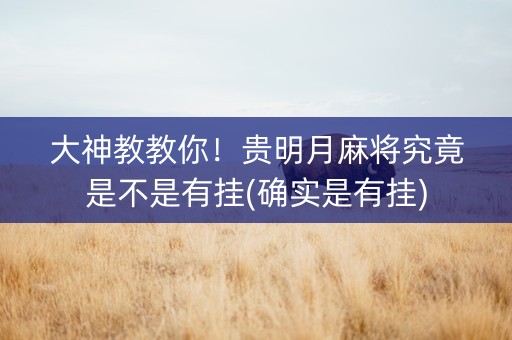 大神教教你！贵明月麻将究竟是不是有挂(确实是有挂)