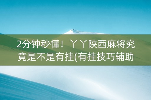 2分钟秒懂！丫丫陕西麻将究竟是不是有挂(有挂技巧辅助器)