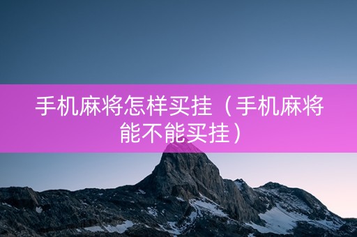 手机麻将怎样买挂（手机麻将能不能买挂）