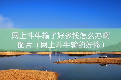 网上斗牛输了好多钱怎么办啊图片（网上斗牛输的好惨）