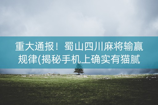重大通报！蜀山四川麻将输赢规律(揭秘手机上确实有猫腻)
