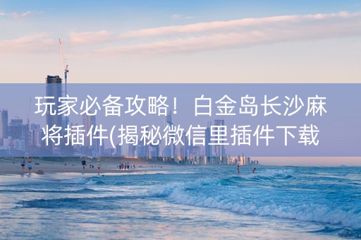 玩家必备攻略！白金岛长沙麻将插件(揭秘微信里插件下载)