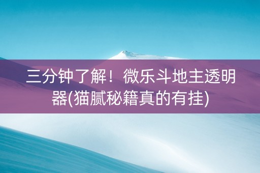三分钟了解！微乐斗地主透明器(猫腻秘籍真的有挂)