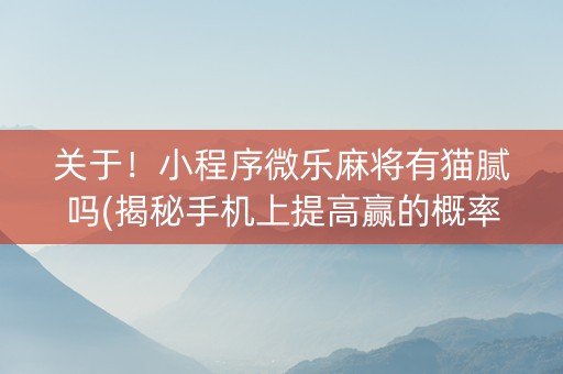 关于！小程序微乐麻将有猫腻吗(揭秘手机上提高赢的概率)