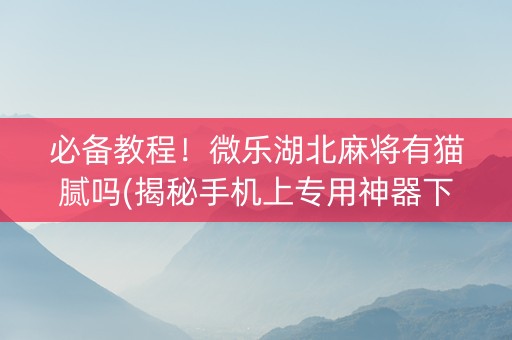 必备教程！微乐湖北麻将有猫腻吗(揭秘手机上专用神器下载)