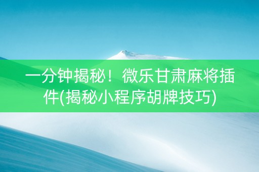 一分钟揭秘！微乐甘肃麻将插件(揭秘小程序胡牌技巧)