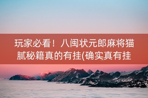 玩家必看！八闽状元郎麻将猫腻秘籍真的有挂(确实真有挂)