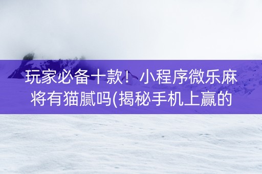 玩家必备十款！小程序微乐麻将有猫腻吗(揭秘手机上赢的诀窍)
