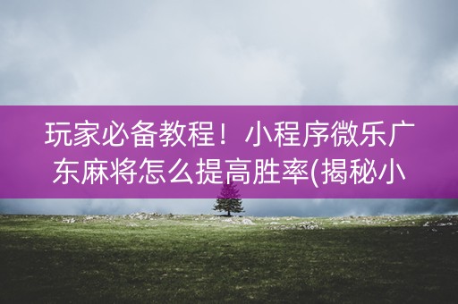 玩家必备教程！小程序微乐广东麻将怎么提高胜率(揭秘小程序提高胜率)