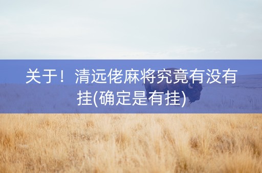 关于！清远佬麻将究竟有没有挂(确定是有挂)