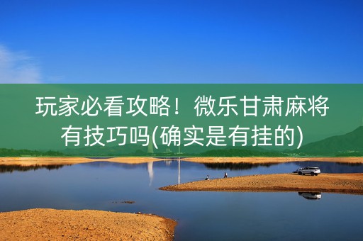 玩家必看攻略！微乐甘肃麻将有技巧吗(确实是有挂的)