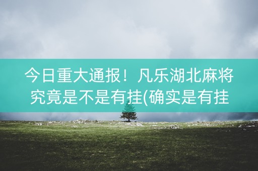 今日重大通报！凡乐湖北麻将究竟是不是有挂(确实是有挂的)
