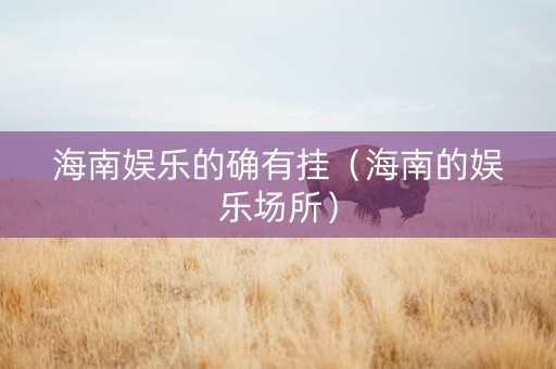 海南娱乐的确有挂（海南的娱乐场所）