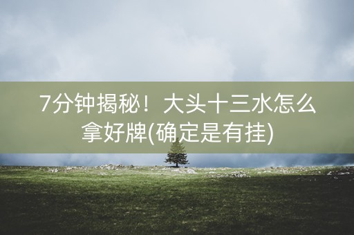 7分钟揭秘！大头十三水怎么拿好牌(确定是有挂)
