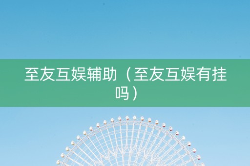 至友互娱辅助（至友互娱有挂吗）