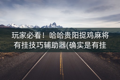 玩家必看！哈哈贵阳捉鸡麻将有挂技巧辅助器(确实是有挂)