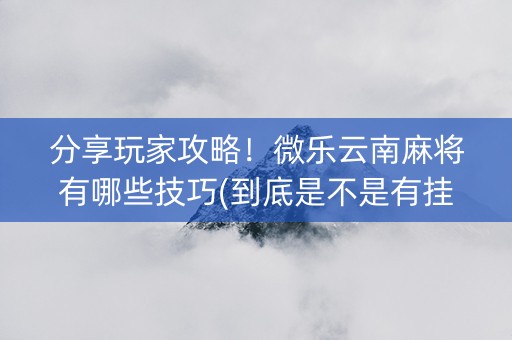 分享玩家攻略！微乐云南麻将有哪些技巧(到底是不是有挂)