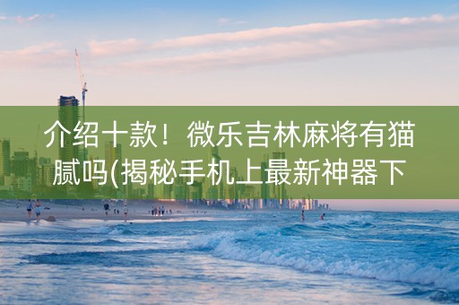介绍十款！微乐吉林麻将有猫腻吗(揭秘手机上最新神器下载)
