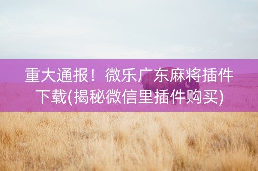 重大通报！微乐广东麻将插件下载(揭秘微信里插件购买)