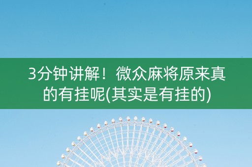 3分钟讲解！微众麻将原来真的有挂呢(其实是有挂的)