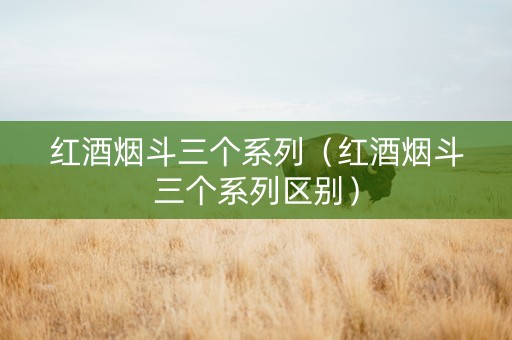 红酒烟斗三个系列（红酒烟斗三个系列区别）