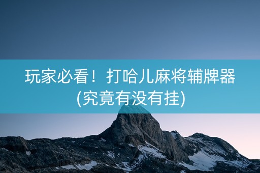 玩家必看！打哈儿麻将辅牌器(究竟有没有挂)