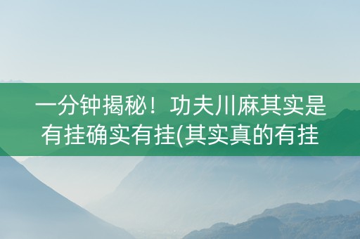 一分钟揭秘！功夫川麻其实是有挂确实有挂(其实真的有挂)