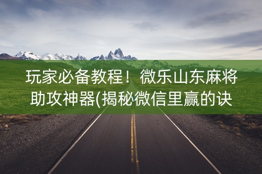 玩家必备教程！微乐山东麻将助攻神器(揭秘微信里赢的诀窍)