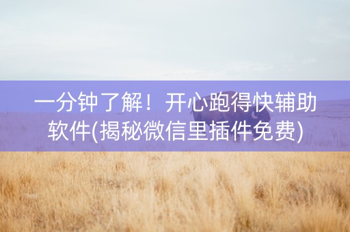 一分钟了解！开心跑得快辅助软件(揭秘微信里插件免费)