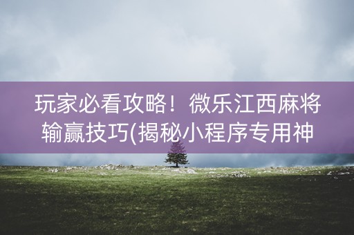 玩家必看攻略！微乐江西麻将输赢技巧(揭秘小程序专用神器)