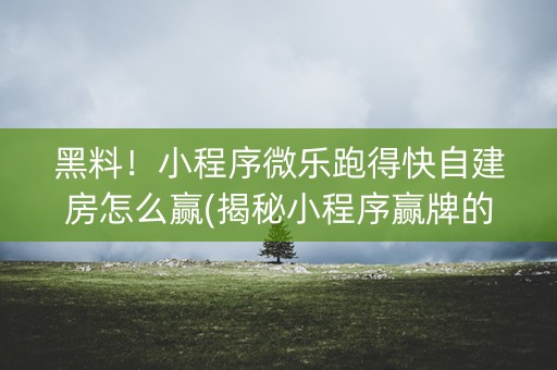 黑料！小程序微乐跑得快自建房怎么赢(揭秘小程序赢牌的技巧)