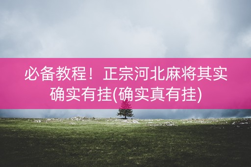 必备教程！正宗河北麻将其实确实有挂(确实真有挂)