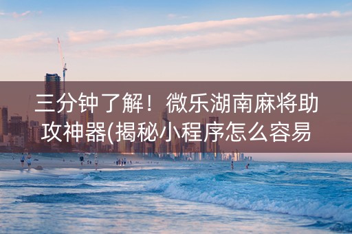 三分钟了解！微乐湖南麻将助攻神器(揭秘小程序怎么容易赢)
