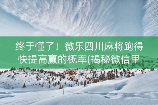 终于懂了！微乐四川麻将跑得快提高赢的概率(揭秘微信里专用神器下载)