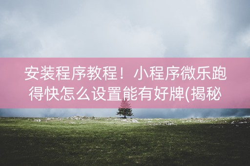 安装程序教程！小程序微乐跑得快怎么设置能有好牌(揭秘小程序插件免费)